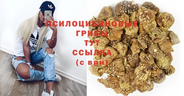 тгк Абдулино