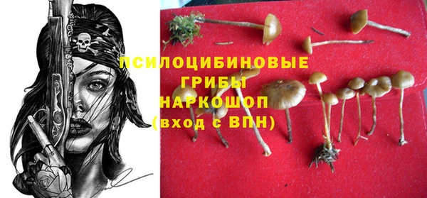 тгк Абдулино