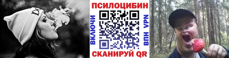 купить   Карталы  blacksprut онион  Псилоцибиновые грибы Psilocybine cubensis 